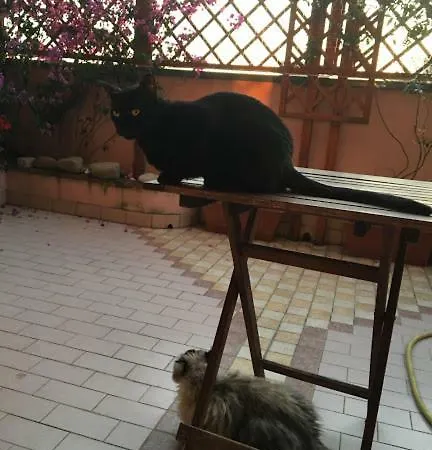 Alloggio in famiglia Dimora Lunalex *